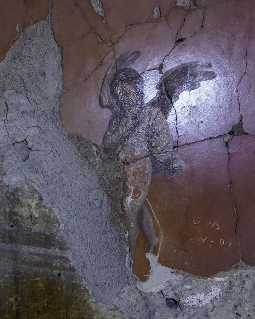 V.8 Herculaneum. August 2021.
Room 7, painted cupid from west side of north wall. Photo courtesy of Robert Hanson